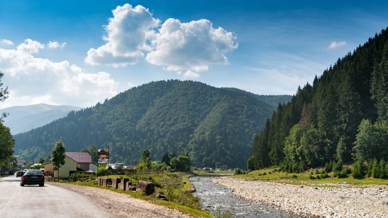 Порядок надання та отримання відпустки без збереження заробітної плати у період дії воєнного стану